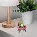 Refintural Miniature Frog Figurines - Funny Frog Sculpture for Shelf, Desk Decoration - Frog Desk Accessories - Perfect Cute Frog Gift for Frog Lovers(Pink Sofa)