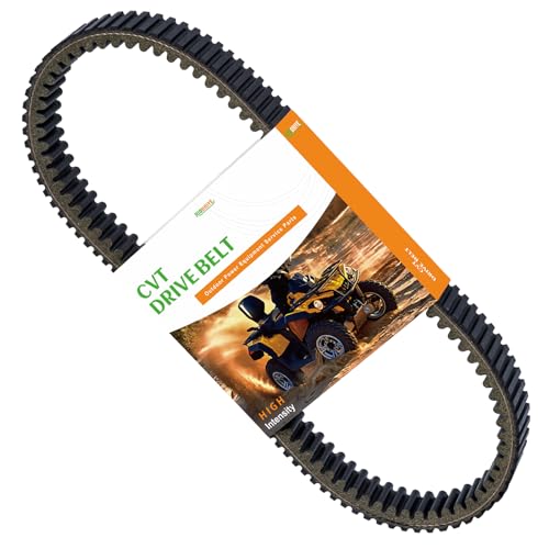 Riodrive 19G3982 Kevlar CVT Belt