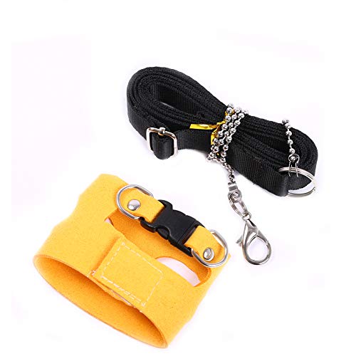 Squirrel Traction Rope Strap Anti-Biting Chain Rope, Adjustable Vest, Small Animal Walking Harness
