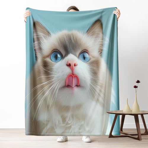 Couverture lit chat mignon kawaii pour des soirées cocooning au salon