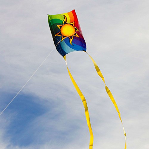 Into The Wind Kid's Sled Kite Sun