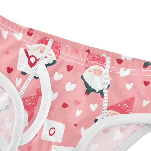 Pink Gnomes Heart Valentine Day Toddler Boy's Underwear 2T 202b91104