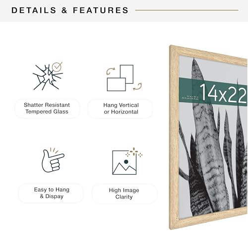 MCS Studio Gallery 14x22 Poster Frame Natural Woodgrain, Vertical & Horizontal Wall Hanging Large Picture Frame for Photos, Posters & Art Prints (1-Pack)