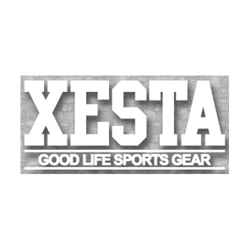 [X^(XESTA) JbeBOXebJ[(GS) 23cm zCg