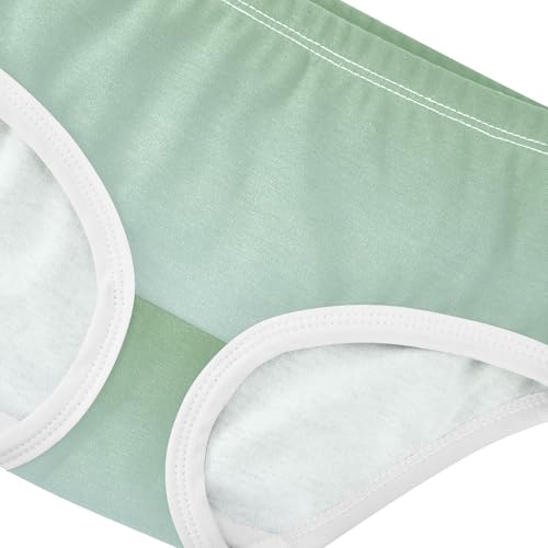 Joisal Artistic Girls Underwear Toddlers 2t Cotton Panties for Girl Dinosaur Green Pale Blue Gradient Briefs Underpants4