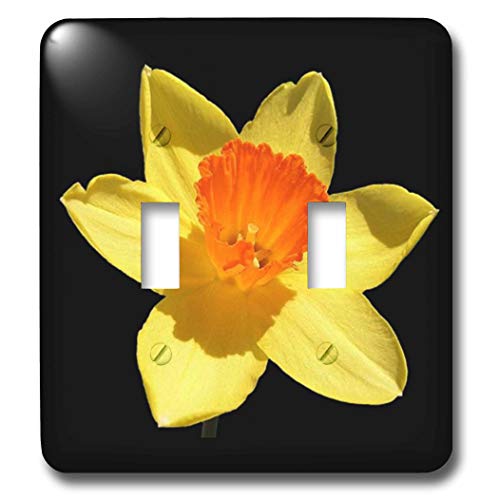 Interrupteur double à bascule jonquilles pour remplacer vos plaques ternes - 2