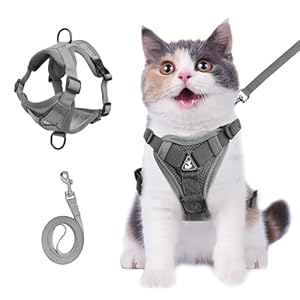 cat Chest Harness and Leash, Anti-Escape Adjustable Soft mesh cat Leash and Chest Harness Set for All Types of Cats cat Vests (Grey, 6.6-9.9lb)