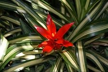 Review Image by N. C. Henss Jr. N. C. Henss Jr.