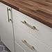 Franklin Brass 5 Pack Champagne Bronze Adjustable Drawer Pulls Gold Kitchen Cabinet Handles for Cupboard Pulls and Dressers Fits 1-3/8 to 6-5/16 inch (35–160mm) Hole Center | Adjusta-Pull™