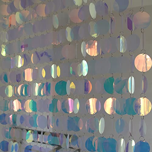 ECYC Ltd Sparkle Sequin Beaded Curtain Door String Curtains PVC Sequin Bead Doorway Curtain Door Window Decor Room Divider Blind for Home Wedding Party Decorations (5 Strips Transparent AB)
