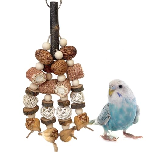 Parrot Toys for Large Bird Bird Toys Natural Corncob Nut Hanging Chew Toys Outdoor Indoor Toys for Parakeet Cockatiel Finch Macaws