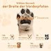 PICK FOR LIFE Hundesocken Anti-Rutsch 2 Paar Doppelseitige mit Verstellbaren Riemen für Innenbereich (Grau, L)