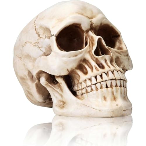 Life Size Skull Model 1:1 - Realistic Halloween Human Skull Replica | Resin Head Decoration Props for Outdoor Halloween Decorations for Home