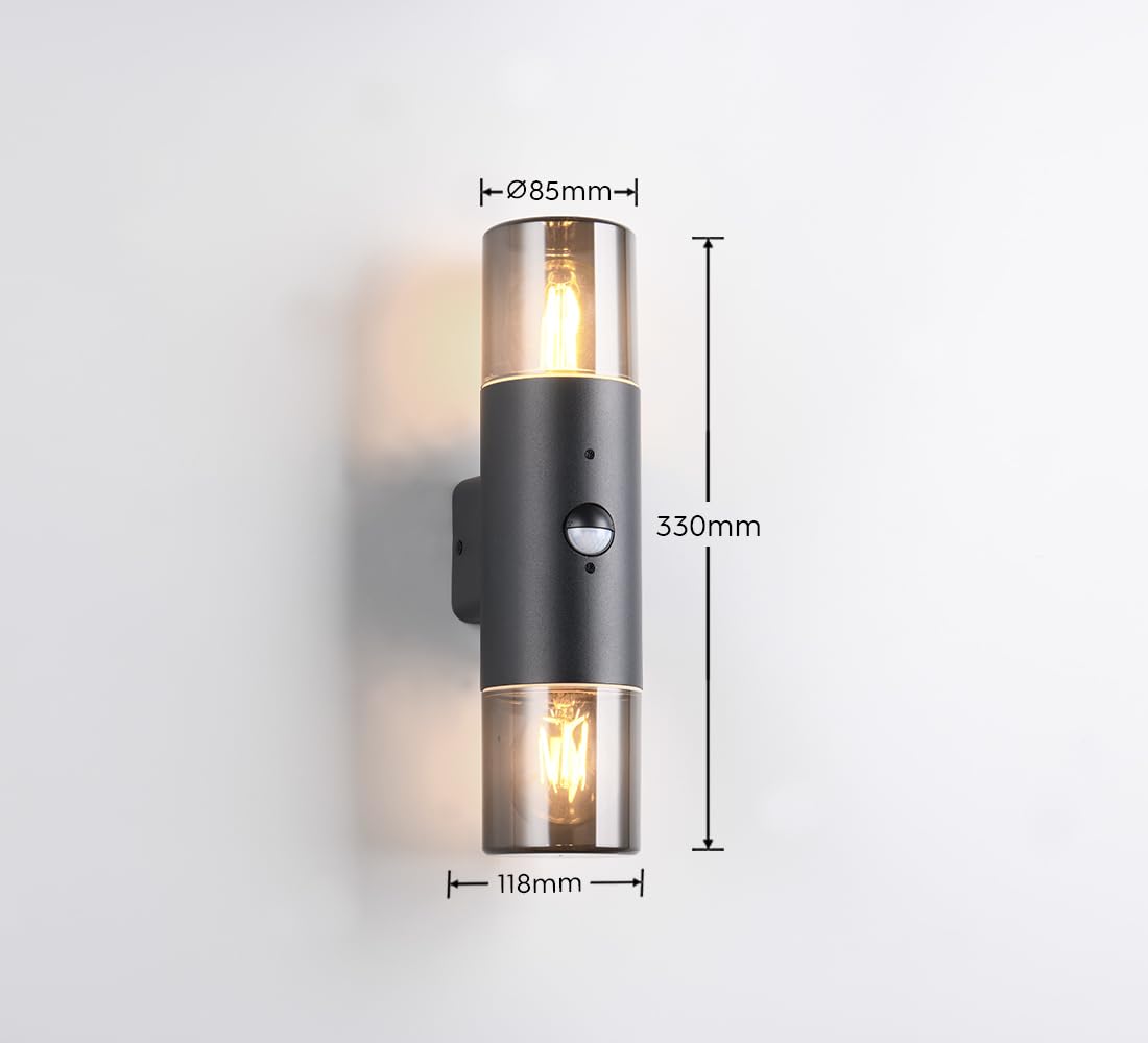 Trio Leuchten Außen Wandleuchte Hoosic 222260232, Druckguss Aluminium Schwarz matt, Schirm Acryl rauchfarbig, exkl. 2x E27, Bewegungssensor