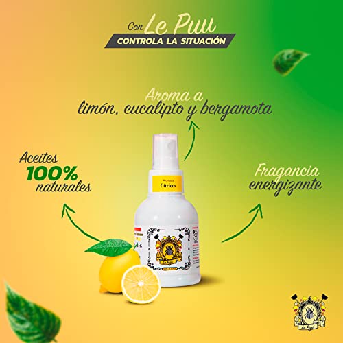 Aromatizantes, Drugstore pastilla aromatizante Marca Le Puu (2)