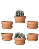 vensovo 5.7 Inch Terracotta Shallow Succulent Pot - 6 Pack Terra Cotta Clay Pots with Saucer, Cacuts