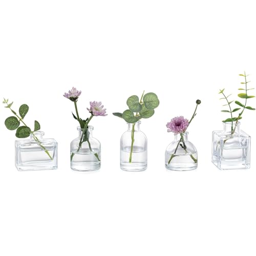 Glasseam Mini Glass Bud Vases: Small Clear Vases for Centerpieces Cute Tiny Flower Vase Set of 5 for Flowers Modern Centerpiece Decor for Wedding Party Dining Room Decoration