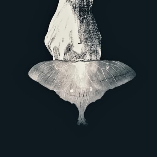 逆らう羽の商品画像