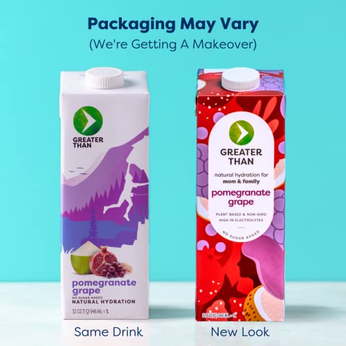 Greater Than Vegan Breastfeeding Support & Breast Milk Supply Aid, Organic Postpartum Nursing Supplement With No Sugar Added, Gluten Free & Keto All Natural, Coconut Water Electrolyte Drink, Pomegranate Grape (6 Pack) #TOP5