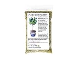 Fiddle Leaf Fig TreeFertilizer(Slow-Release Pellets) Ficus Plant Food Improves...