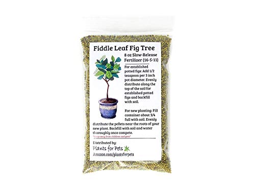 Fiddle Leaf Fig Tree Fertilizer (Slow-Release Pellets) Ficus Plant Food | Improves Leaves/Branches | Potted Indoor Trees Treatment, by Aquatic Arts