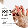 Joint Formula Advanced Joint Support with Herbal Blend & Antioxidants, Tablets 90ct