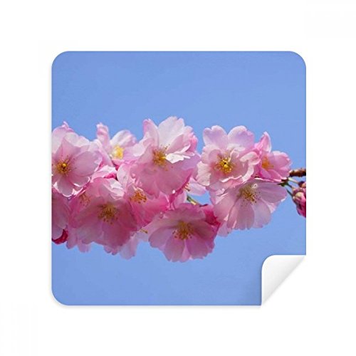 Chiffon nettoie écran de téléphone et lunettes en suède bleu et rose x2