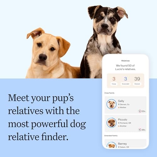 Wisdom Panel Breed Discovery Dog DNA Testing Kit - Most Accurate Dog Breed Identification - Test for 430+ Breeds, MDR1 Health Test, Ancestry, Relatives — view 4
