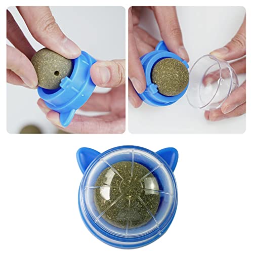 Bola de parede Catnip Catnip - Bolas de catnip de parede para limpeza de dentes dentais de gatos de