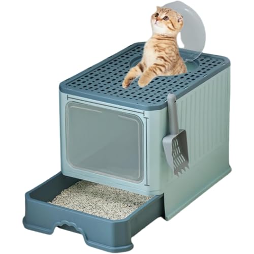 BIBAPU ̊S^LgC LpgC jƂgC RpNgLgC LgC ^LgC Wtt[htL̃gC h[^Cv ot |ȒP o@ ^L hAt 傫TCY ӂt юUh~ 