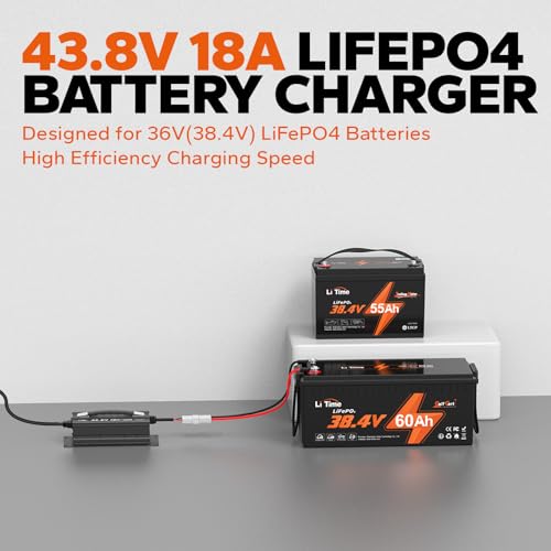 LiTime 43.8V 18A Lithium Battery Charger for 38.4V LiFePO4 Battery, AC-DC Smart Charger with 50A Anderson Connector, LED Indicator, Multiple Safety Protection for Golf Cart and RV by Litime - Image 3