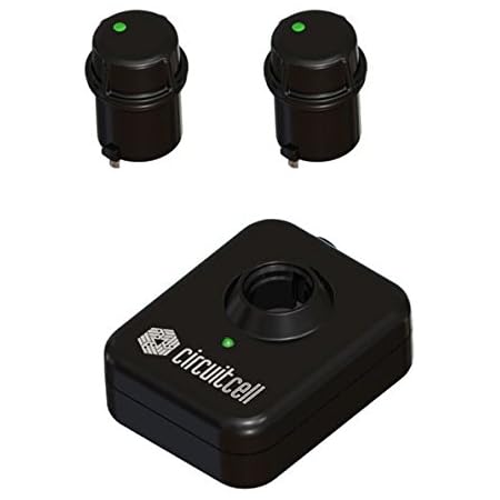 invisible fence blinking green