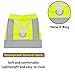 Bird Harness and Leash - Adjustable Parrot Training Flight Harness Vest with Reflective Strip Nylon Training Rope for Medium Large Bird Parrot Cockatiel Monk Parakeet Sun Conure (L)