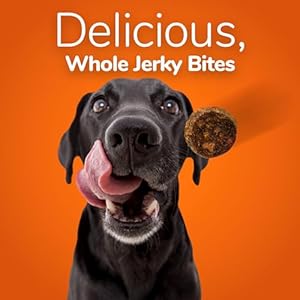 Fruitables Wholesome Canine Treats – Entire Jerky Bites for Canines – Alaskan Salmon & Pear Flavored – 5 Ounces