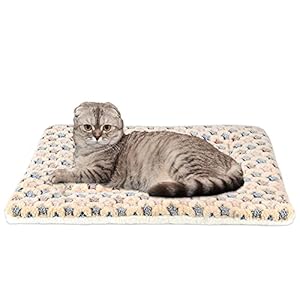 FJWYSANGU Pet Blanket Premium Fluffy Flannel Cushion Soft and Warm Mat for Dogs Cats(Star/Yellow,Medium)