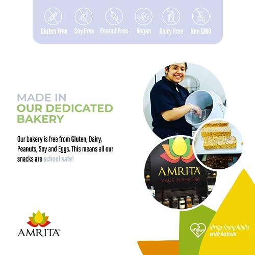 AMRITA Variety Pack (12 bars) Vegan Protein Bars | Peanut Free, Soy & Gluten Free Sampler Pack | High Fiber Meal Replacement Bar, Healthy Snacks | Paleo Snack, Dairy Free, Plant Based Energy Bars | No Sugar Alcohol