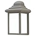 Mulberry Hill Outdoor Wall Lantern in Black