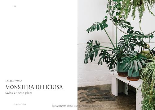 Plantopedia: The Definitive Guide to Houseplants - Image 3
