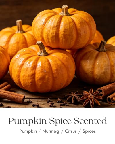 Image of AOOVOO Pumpkin Spice Odor Eliminating Highly Fragranced Candle - Eliminates 95% of Pet, Smoke, Food, and Other Smells Quickly, Non Toxic Air Freshing Soy Candle, 9 oz Up to 50 Hours Burn time
