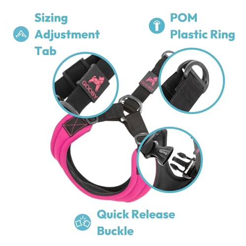 Gooby Escape Free Sport Harness - Turquoise, Large - No Choke Step-in Patented Neoprene Small Dog Harness, Four-Point Adjustment - Perfect on The Go Dog Harness for Medium Dogs No Pull and Small Dogs by Gooby - Image 5