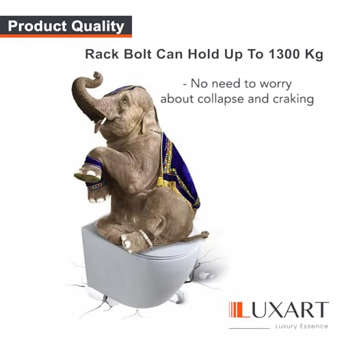 Image of LUXART Racks Bolt EWC & Wall Hung (SS 304) wall Mount Commode Rack Bolt 16mm thikness, installation screw set with full accessories for wall mounted commode