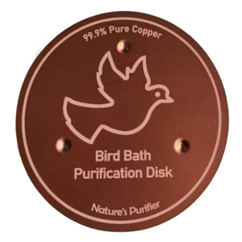 ޗ򉻃fBXN̂߂̎g₷N[i[c[