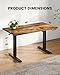 ErGear Whole Piece Standing Desk with 48x30 inch Desktop, Adjustable Stand Up Desk for Home Office, Electric Computer Desk Workstation with Cable Management Tray, Vintage Brown, EGESD65V