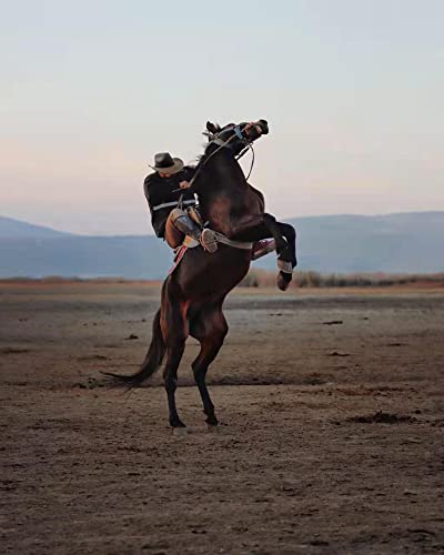 Willheoy Cowboy Hat For Men Women Western Cowgirl Hats Felt Fedora Hat Cowboy Costume Coffee #TOP4