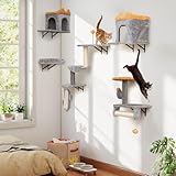 COSTWAY 6 PCS Kletterwand Katzen, Kratzbaum mit Ball & Plattformen, 2 Katzenhöhlen, 3-stöckiger...