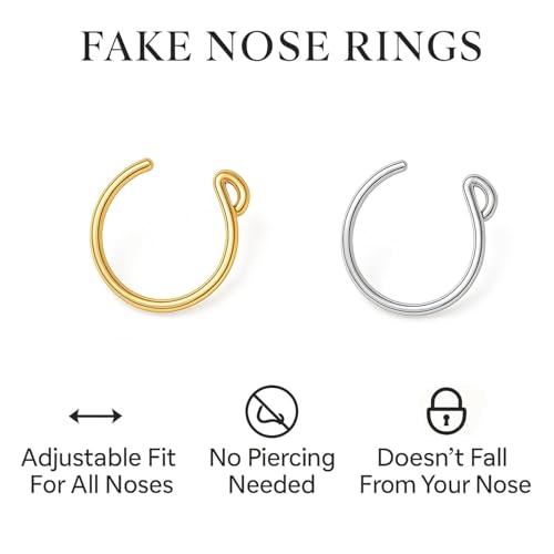2er Set Fake Nasenpiercing – Clip-On Fake Nose Ring 20G – Nasenring Fake aus 925 Sterling Silber & 14K Gold – Falscher Piercing Nase – Kein Loch nötig – Nasenschmuck Damen