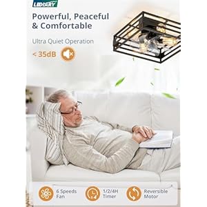 LEDIARY Caged Low Profile Ceiling Fans with Lights and Remote Black Square Flush Mount Ceiling Fan 6 Speed and Reversible Small Farmhouse Bladeless Ceiling Fan for Bedroom Kitchen Dining Room