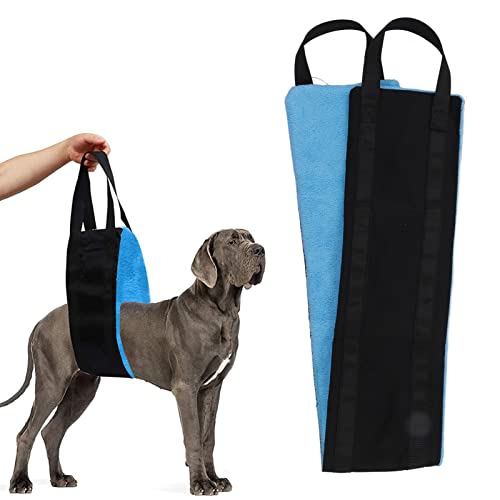 dog support harnesses