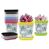 Haz tu propio jardín: saca la belleza de tus queridas plantas y flores, ya sea que estén tumbadas o colgadas. Ideal para decorar el alféizar de la ventana, escritorio, estante, balcón, sala de estar, cocina, jardín, oficina, etc.