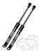 2 x Tailgate Trunk Lid Lift Support Liftgate Shock Struts for Mercedes Benz W220 S350 S430 S500 S600 S55 AMG S65 AMG Sedan 1999-2006
